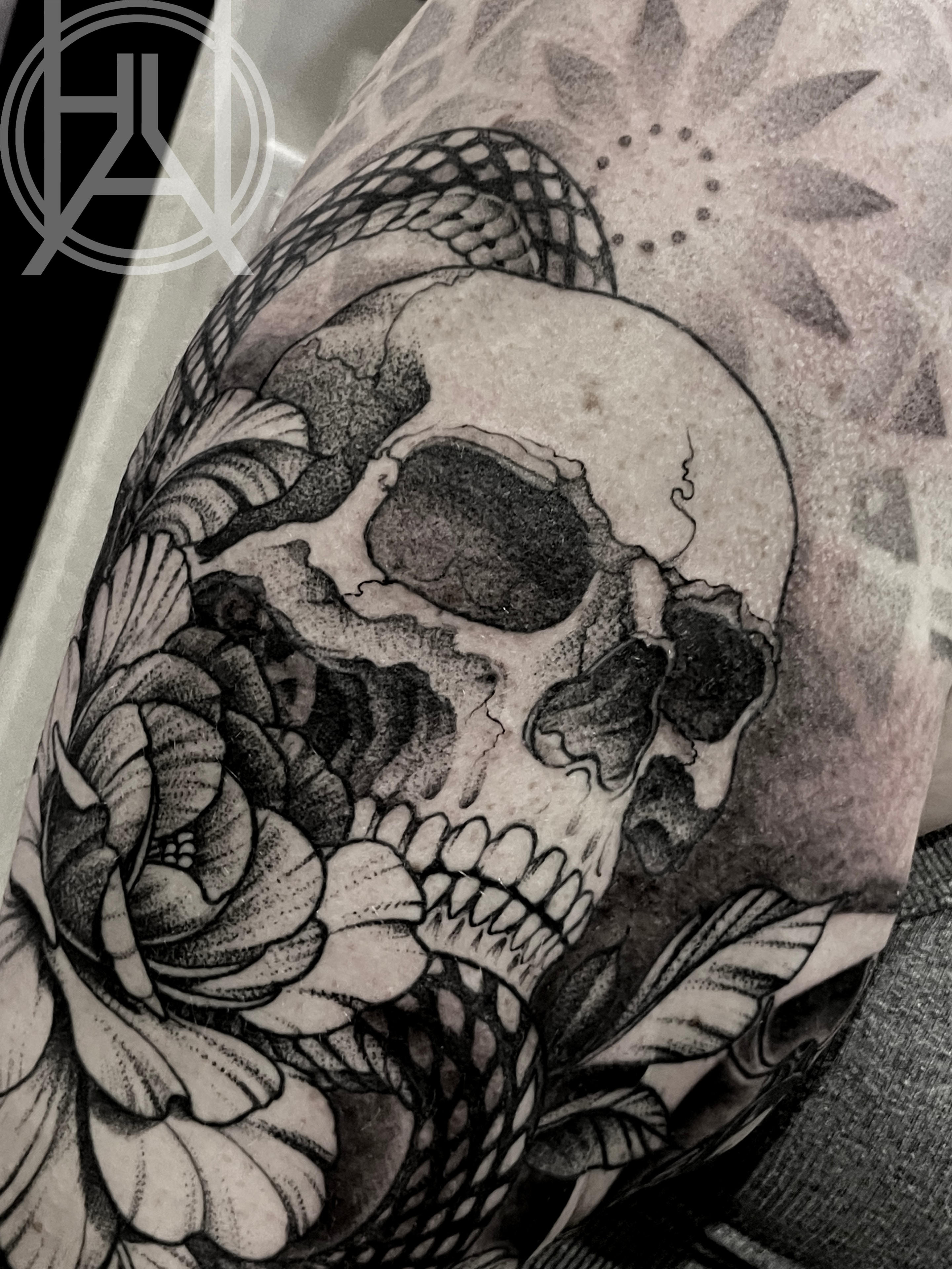 Skull & Snake