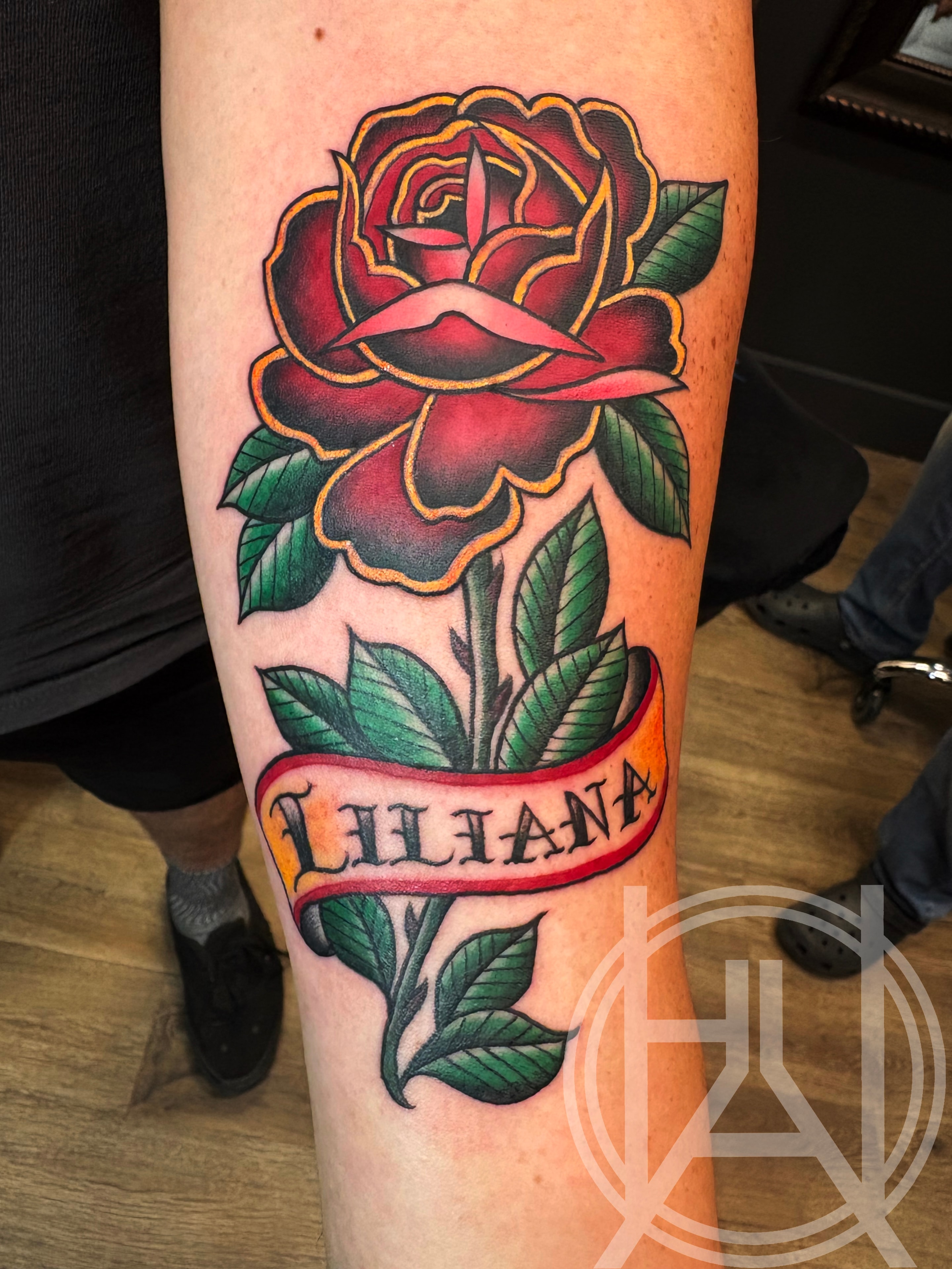 Traditional Rose