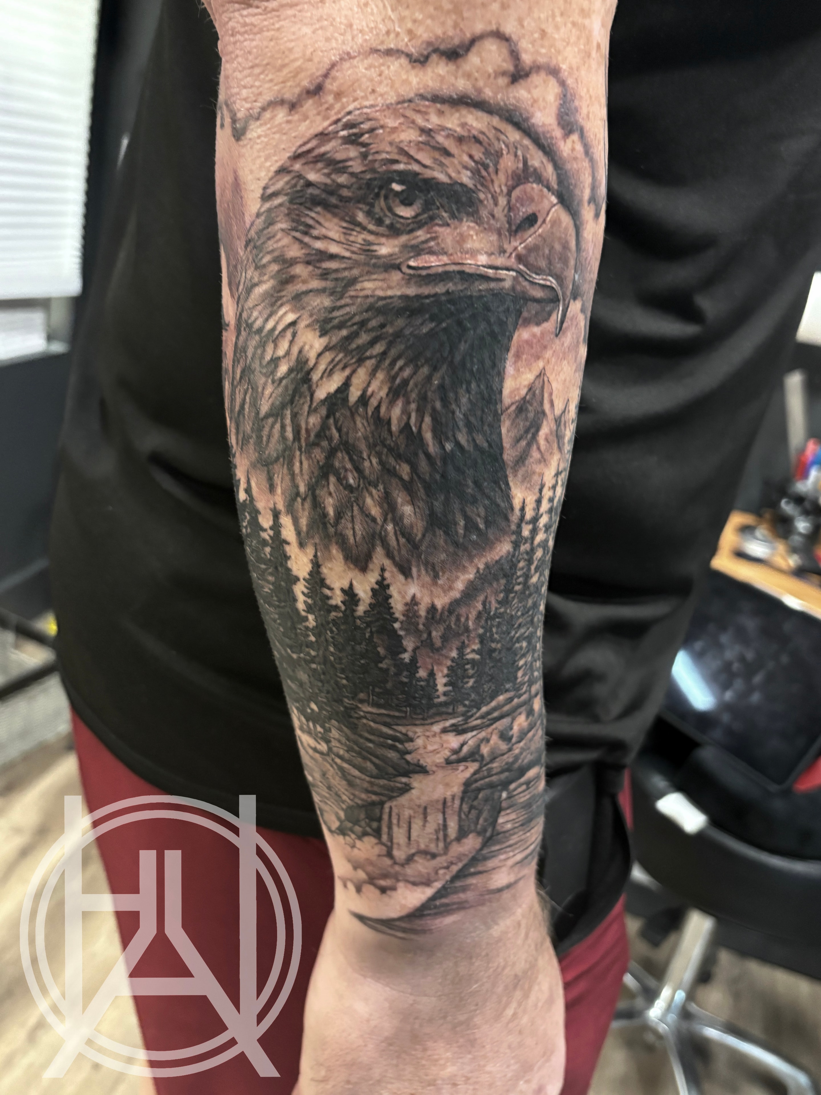Eagle & Forest