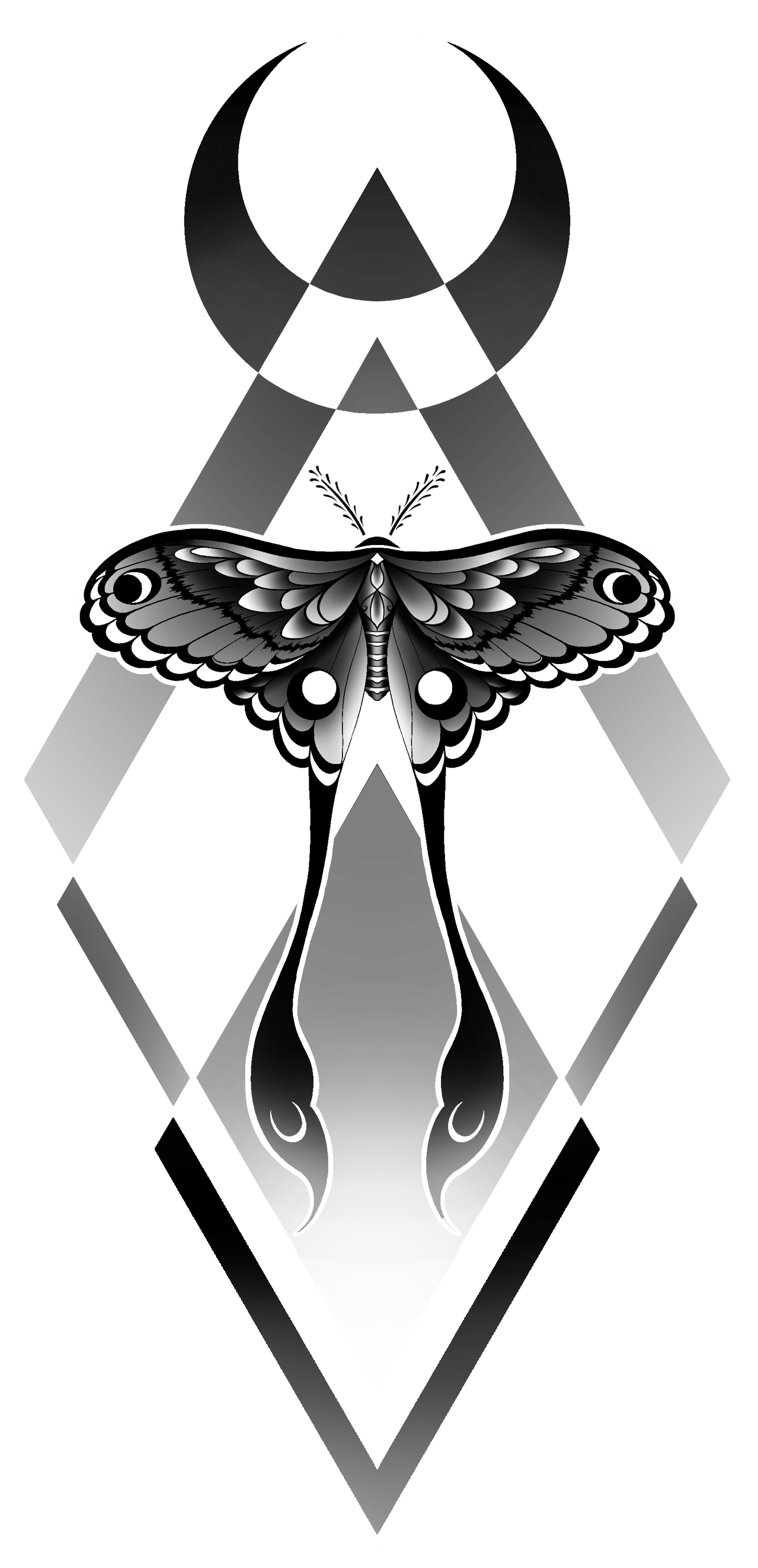 Moth — White